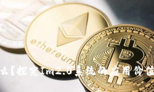 Im2.0是什么？探究Im2.0系统的应用价值和使用方法