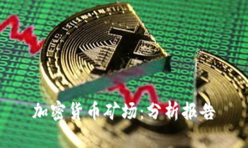 加密货币矿场：分析报告