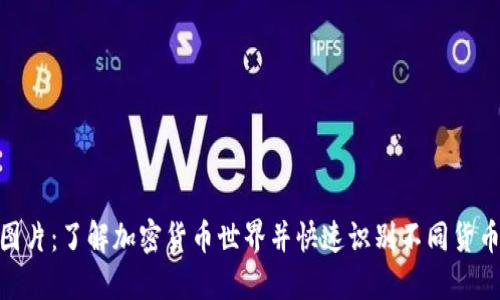 800种加密货币图片：了解加密货币世界并快速识别不同货币类型的必备工具