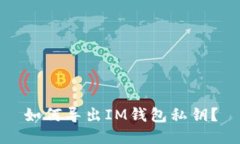 如何导出IM钱包私钥？