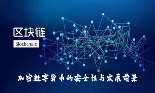 加密数字货币的安全性与发展前景
