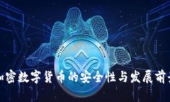 加密数字货币的安全性与发展前景
