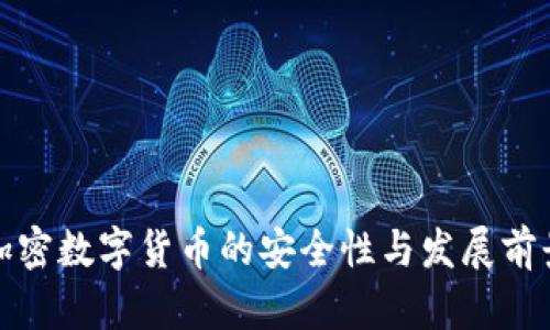 加密数字货币的安全性与发展前景