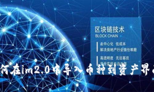 如何在im2.0中导入币种到资产界面?