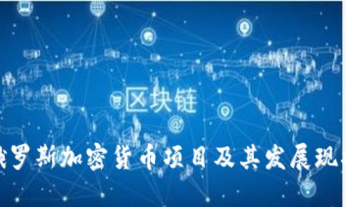俄罗斯加密货币项目及其发展现状