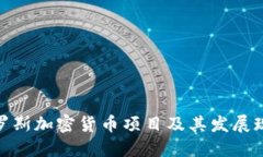 俄罗斯加密货币项目及其发展现状