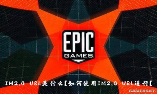 IM2.0 URL是什么？如何使用IM2.0 URL进行？