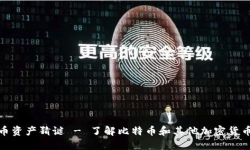 加密货币资产猜谜 - 了解比特币和其他加密货币的秘密