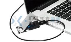 IM钱包支持哪些币种？