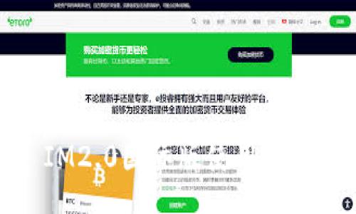IM2.0国际版使用教程