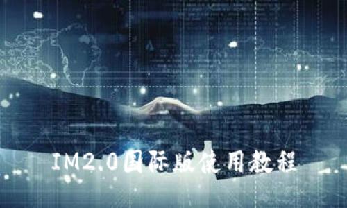 IM2.0国际版使用教程