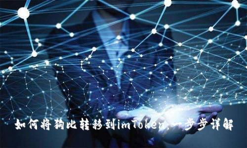 如何将狗比转移到imToken：一步步详解