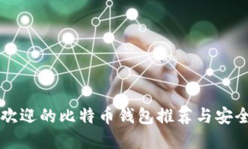 国内最受欢迎的比特币钱包推荐与安全使用指南