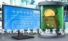 国内最受欢迎的比特币钱包推荐与安全使用指南