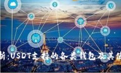 全面解析：USDT支持的各类钱包及其使用建议