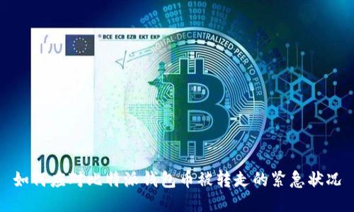 如何应对比特派钱包币被转走的紧急状况