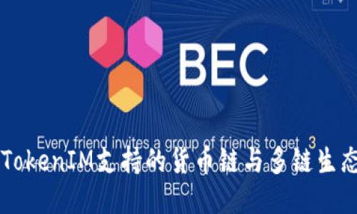 ### TokenIM支持的货币链与多链生态的未来