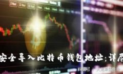 如何安全导入比特币钱包地址：详尽指南