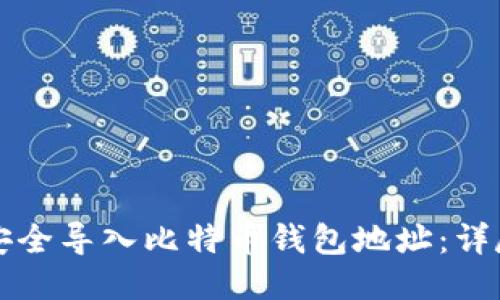 如何安全导入比特币钱包地址：详尽指南