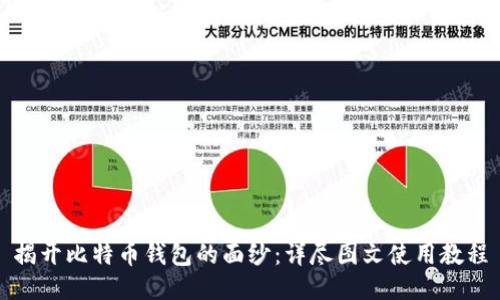 揭开比特币钱包的面纱：详尽图文使用教程