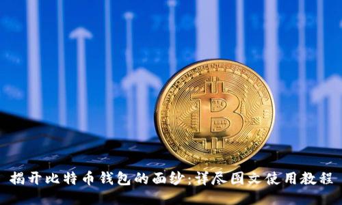 揭开比特币钱包的面纱：详尽图文使用教程