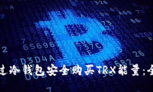 如何通过冷钱包安全购买TRX能量：全面指南