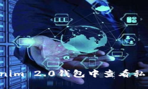 如何在Tokenim 2.0钱包中查看私钥：全面指南