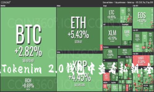 如何在Tokenim 2.0钱包中查看私钥：全面指南