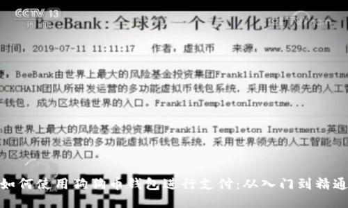 如何使用狗狗币钱包进行支付：从入门到精通