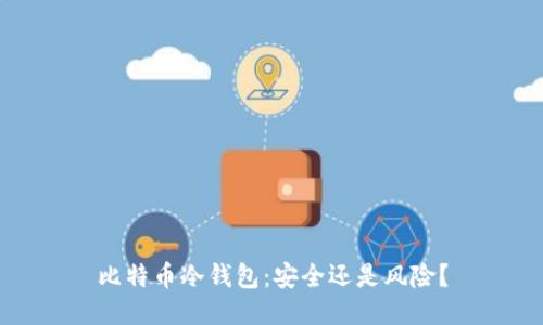 比特币冷钱包：安全还是风险？