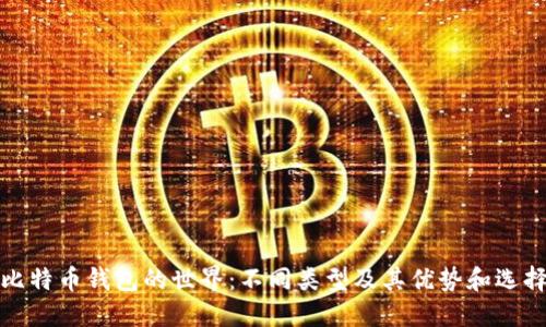 探索比特币钱包的世界：不同类型及其优势和选择指南