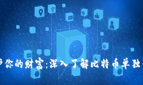 保护你的财富：深入了解比特币单独钱包