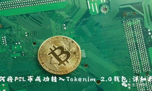 如何将FIL币成功转入Tokenim 2.0钱包：详细指南