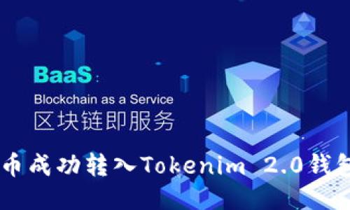 如何将FIL币成功转入Tokenim 2.0钱包：详细指南