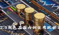 Tokenim 2.0钱包在国内的使用