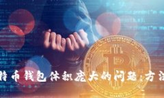 解决比特币钱包体积庞大