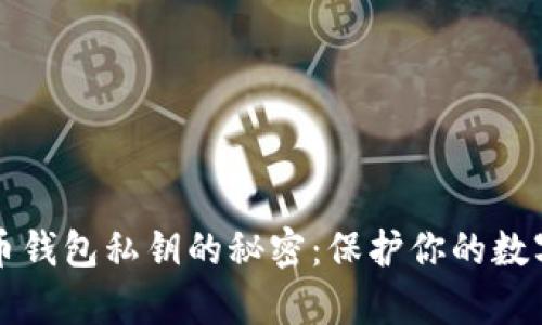 比特币钱包私钥的秘密：保护你的数字财富