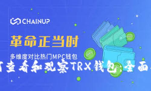 如何查看和观察TRX钱包：全面指南