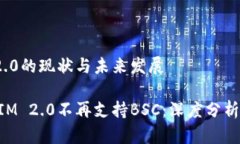 TokenIM 2.0的现状与未来发展