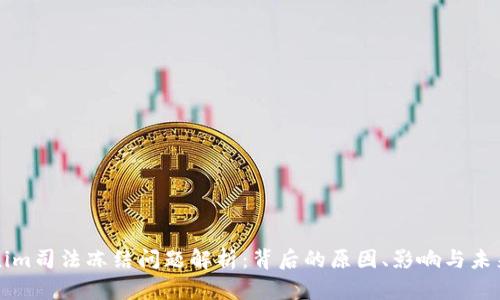 Tokenim司法冻结问题解析：背后的原因、影响与未来展望