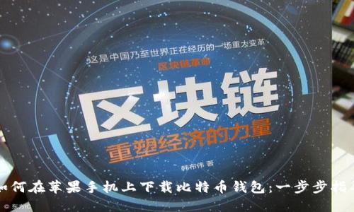 如何在苹果手机上下载比特币钱包：一步步指导