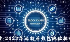 揭开神秘面纱：2023年比特