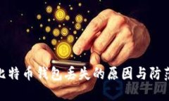 探讨比特币钱包丢失的原因与防范措施