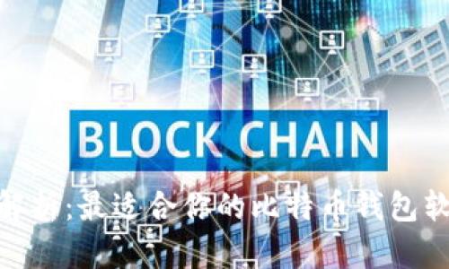 : 全面解析：最适合你的比特币钱包软件选择