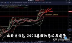 比特币钱包：300G存储的意