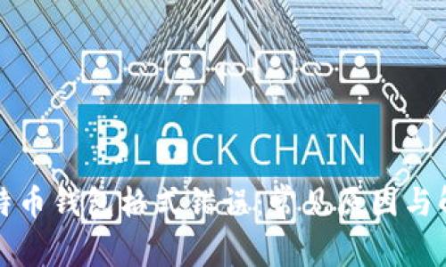 解密比特币钱包格式错误：常见原因与解决方案