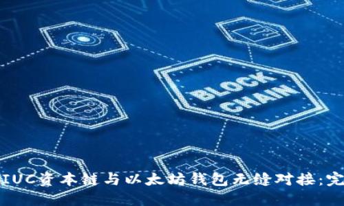 如何将IUC资本链与以太坊钱包无缝对接：完整指南