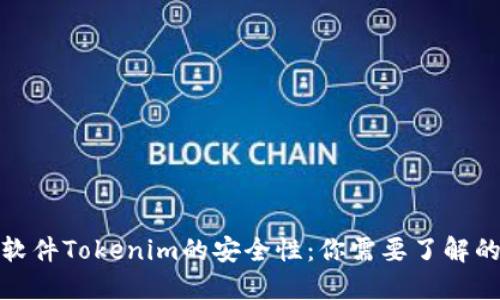 探索软件Tokenim的安全性：你需要了解的一切
