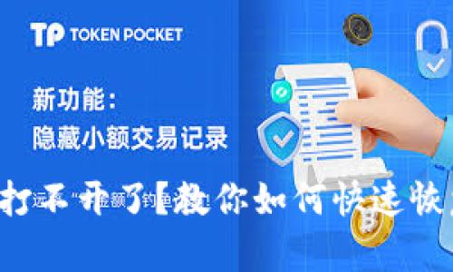 比特币钱包打不开了？教你如何快速恢复资产安全！