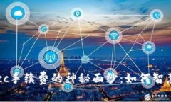 揭开TokenimMcc手续费的神秘